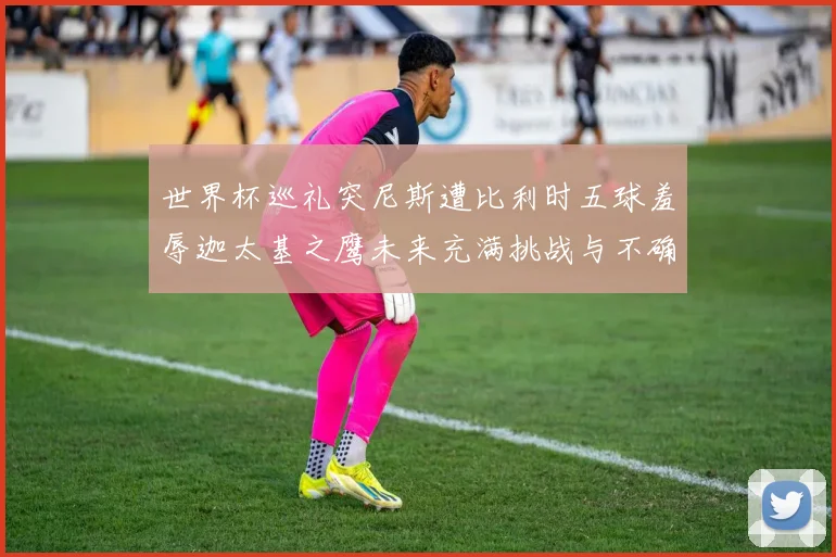 世界杯巡礼突尼斯遭比利时五球羞辱迦太基之鹰未来充满挑战与不确定性