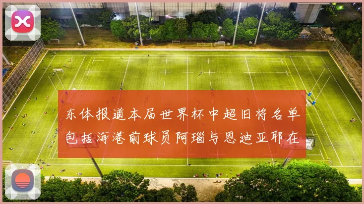 东体报道本届世界杯中超旧将名单包括海港前球员阿瑙与恩迪亚耶在内的10位球员