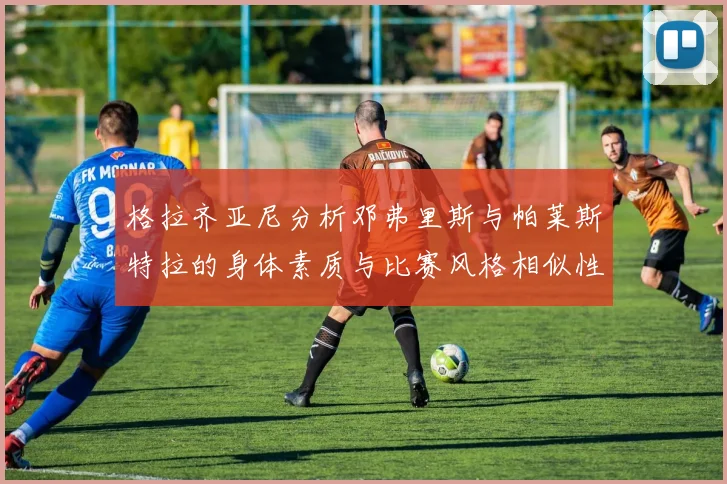 格拉齐亚尼分析邓弗里斯与帕莱斯特拉的身体素质与比赛风格相似性